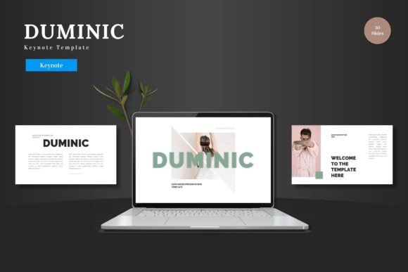 Duminic - Keynote Template: A Visual Toolkit for Modern Presentations