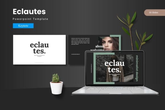 Eclautes: Crafting Visual Narratives That Resonate