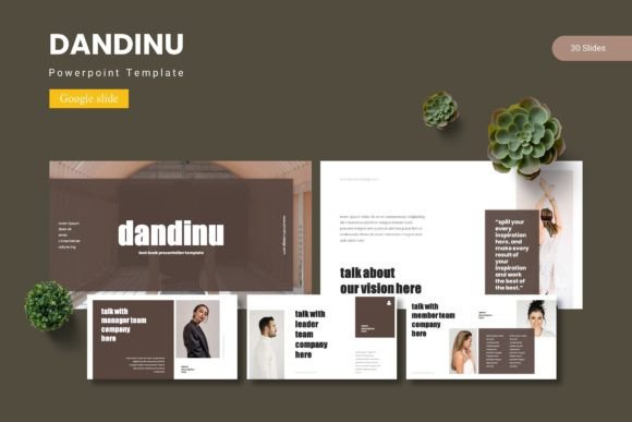 Master Your Next Presentation with Dandinu's Clean, Modern Slides